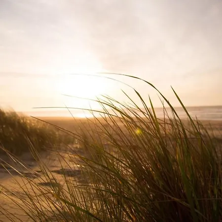 Grosse Nordseewelle Ohne Hund Holiday home *