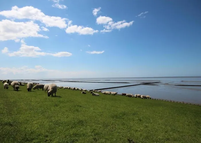 Grosse Nordseewelle Ohne Hund Holiday home Norden